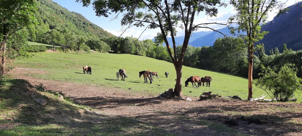 Casa Tonya Διαμέρισμα Unarre Εξωτερικό φωτογραφία
